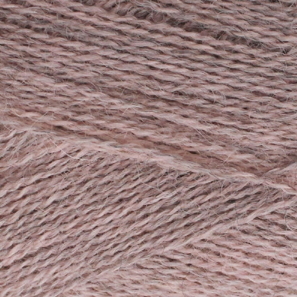 Alpaca 1