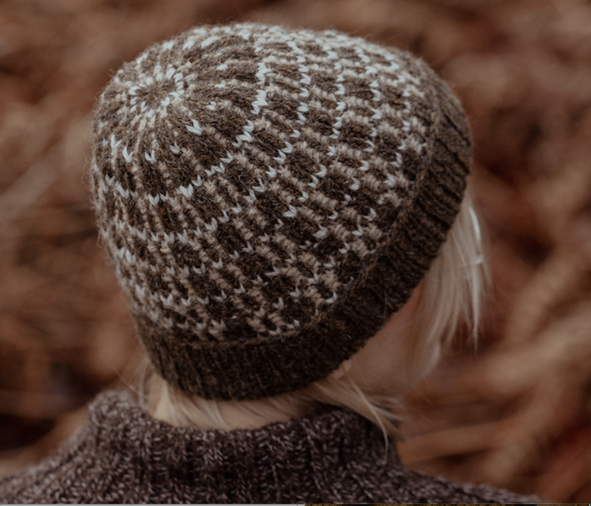 The Island and the Forest: A Knitted Correspondence